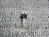 Mosfet IRLB3036, 60V, 1,9 mOhm